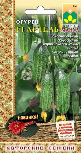 Артель Манул