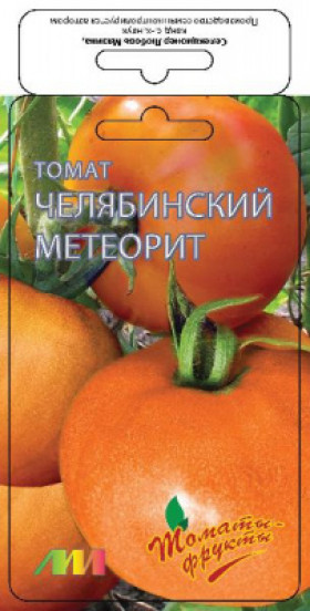 Челябинский метеорит /Мязина