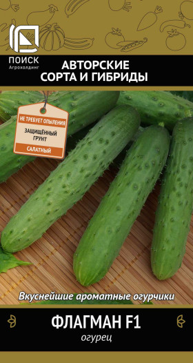 Флагман Ц(Поиск)