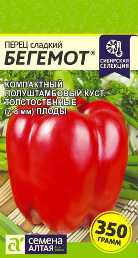 Бегемот Ц(Алт)