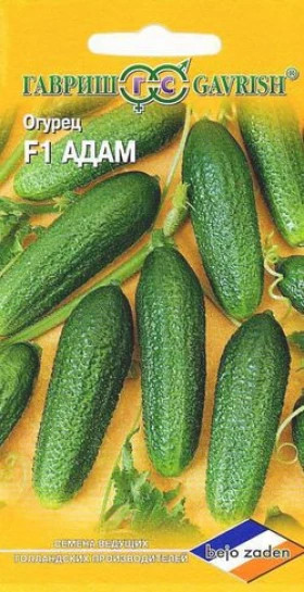 Адам 5шт. корн. голл. Ц(Г)