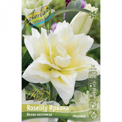 Roselily Ирвана 12/14 вост.махр.5шт