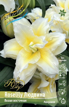 Roselily Людвина 12/14 вост.махр.5шт
