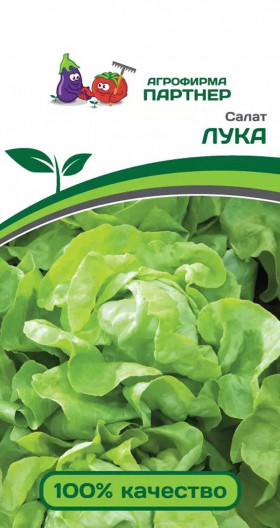 Лука кочанный  Партнер