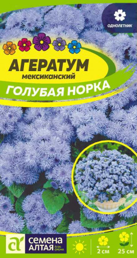 Голубая Норка Ц(Алт)