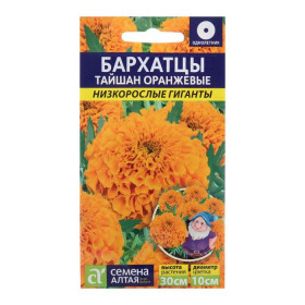 Тайшан Оранжевые низкорослые гиганты Ц(Алт)