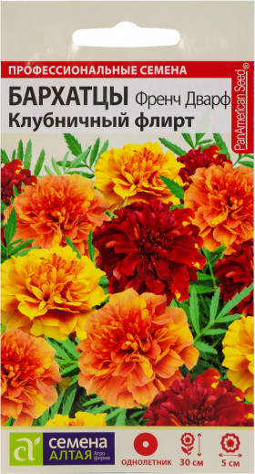 Френч Дварф Клубничный Флирт Ц(Алт)