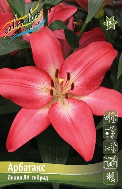 Арбатакс (ЛА) 12/14 7шт