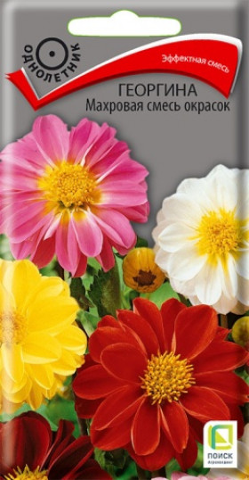 Махровая смесь Ц(Поиск)