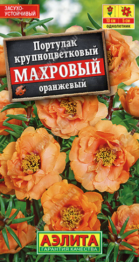Махровый оранжевый Ц(А)