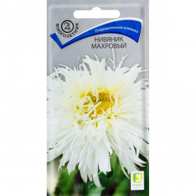 Махровый Ц(Поиск)