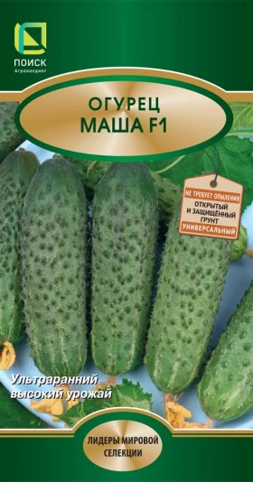 Маша 5шт.Ц(Поиск)