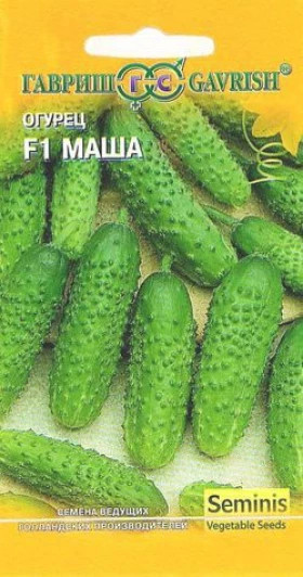 Маша 5шт.Ц(Г)