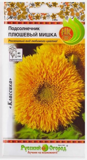 Плюшевый Мишка Ц(Н)