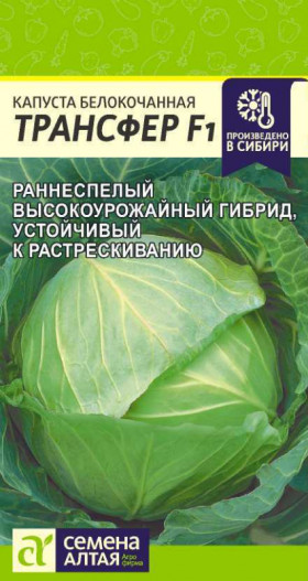 Трансфер 0,1гр Ц(Алт)