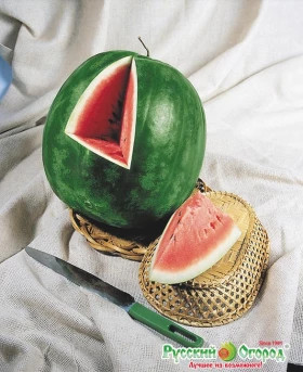 Ультраранний Ц(Н)