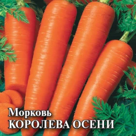 Королева осени 25 гр\Гавриш