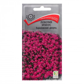 Королевский дворец Ц(Поиск)