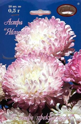 Астра Яблунёва Каприс