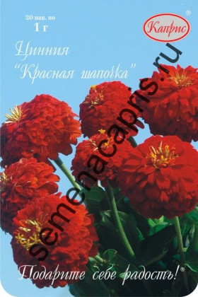 Цинния Красная шапочка Каприс