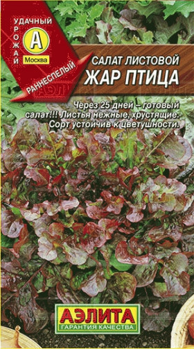 Жар птица красн. лист Ц(А)