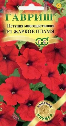 Жаркое пламя Ц(Г)