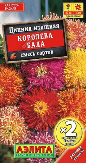 Королева бала Ц(А)*2