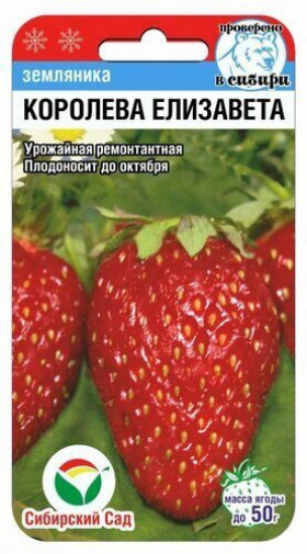 Королева Елизавета СС