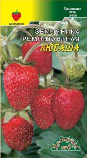 Любаша ремонт. /Цветущий Сад