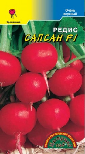 Сапсан /Цветущий Сад