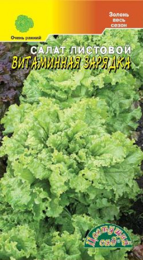 Витаминная зарядка /Цветущий Сад