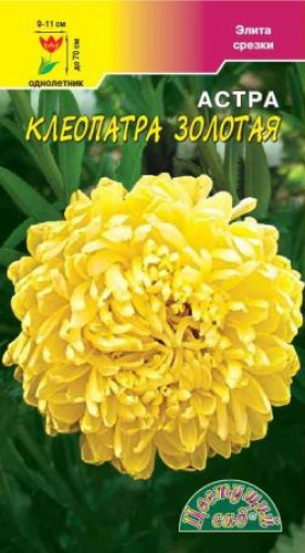 Клеопатра золотая  /Цветущий Сад