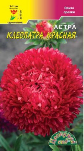 Клеопатра красная  /Цветущий Сад