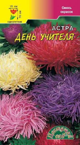 День Учителя хризантем/Цветущий Сад