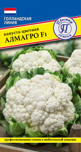 цветная Алмагро F1 Ц(П)