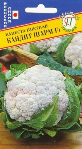 цветная Кандит Шарм 10шт Ц(П)