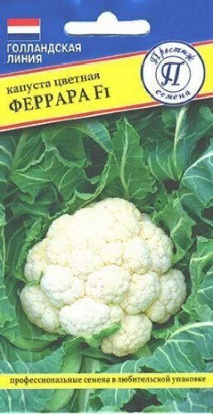 цветная Феррара 10шт. Ц(П)