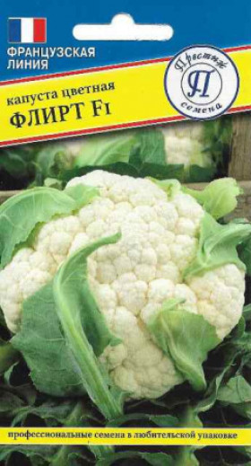 цветная Флирт 10шт. Ц(П)