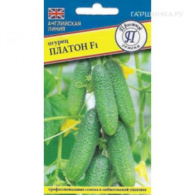 Платон 5шт.Ц(П)