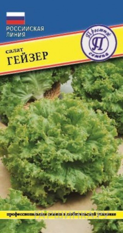 Гейзер 10шт. Ц(П)