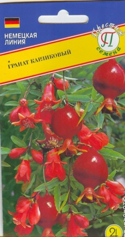 Карликовый 5 шт.Ц(П)