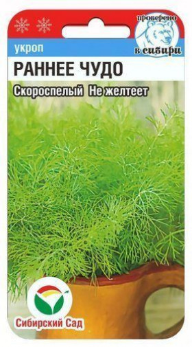 Раннее чудо СС