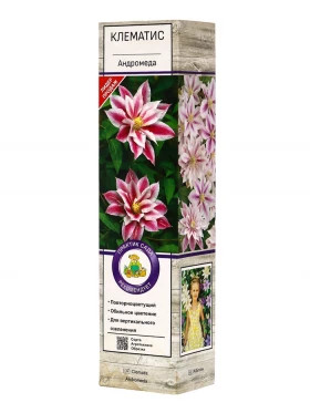 Андромеда P9, в туб.