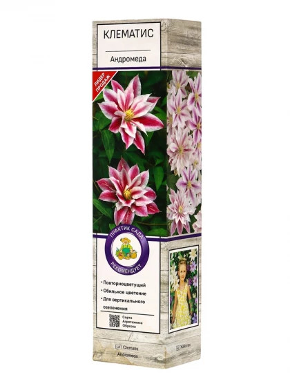 Андромеда P9, в туб.