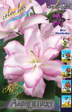 Roselily Аннушка (вост.махр) 5шт