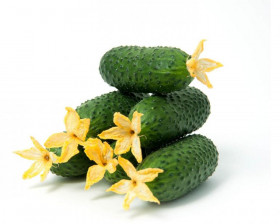 Смарт 5шт. Ц(Г)