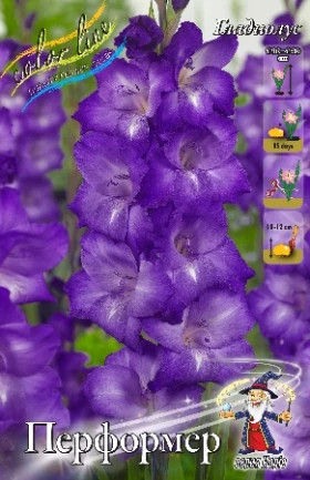 Перформер 10/12 8шт