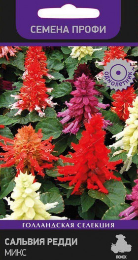 Редди Микс Ц(Поиск)