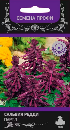 Редди Парпл Ц(Поиск)