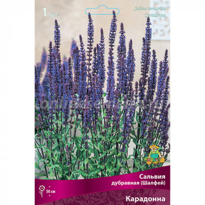 Карадонна 1шт